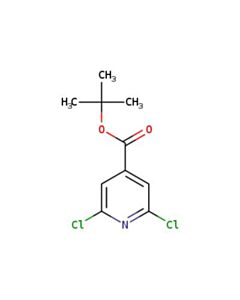 Astatech TERT-BUTYL 2,6-DICHLOROISONICOTINATE; 1G; Purity 97%; MDL-MFCD08445655